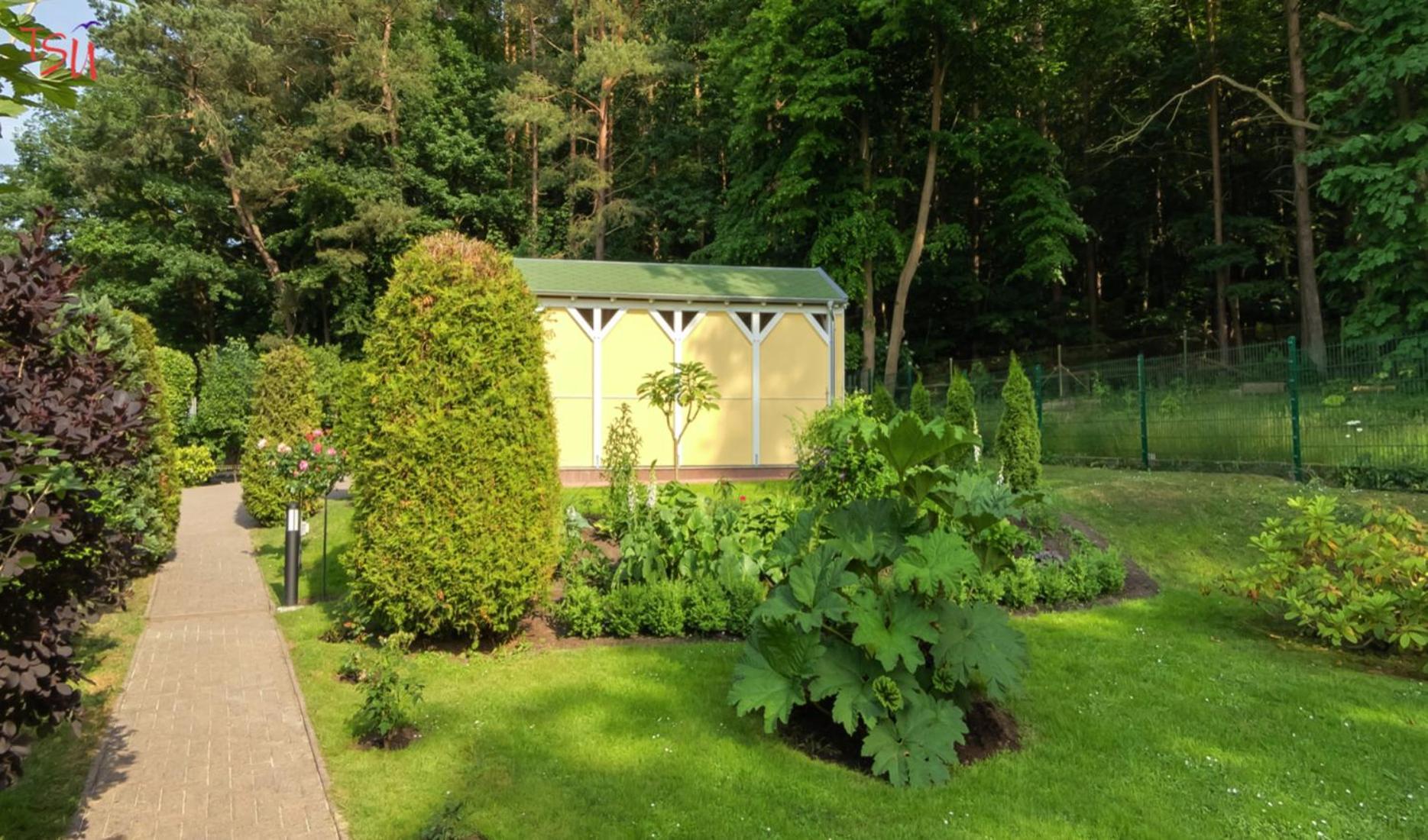 Haus Am Wald Appartement Heringsdorf  Buitenkant foto