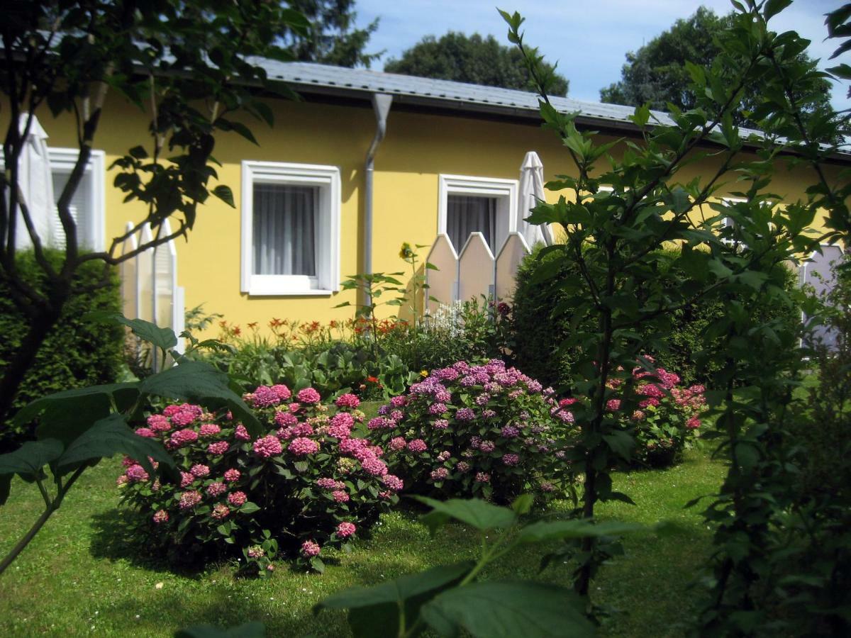 Haus Am Wald Appartement Heringsdorf  Buitenkant foto